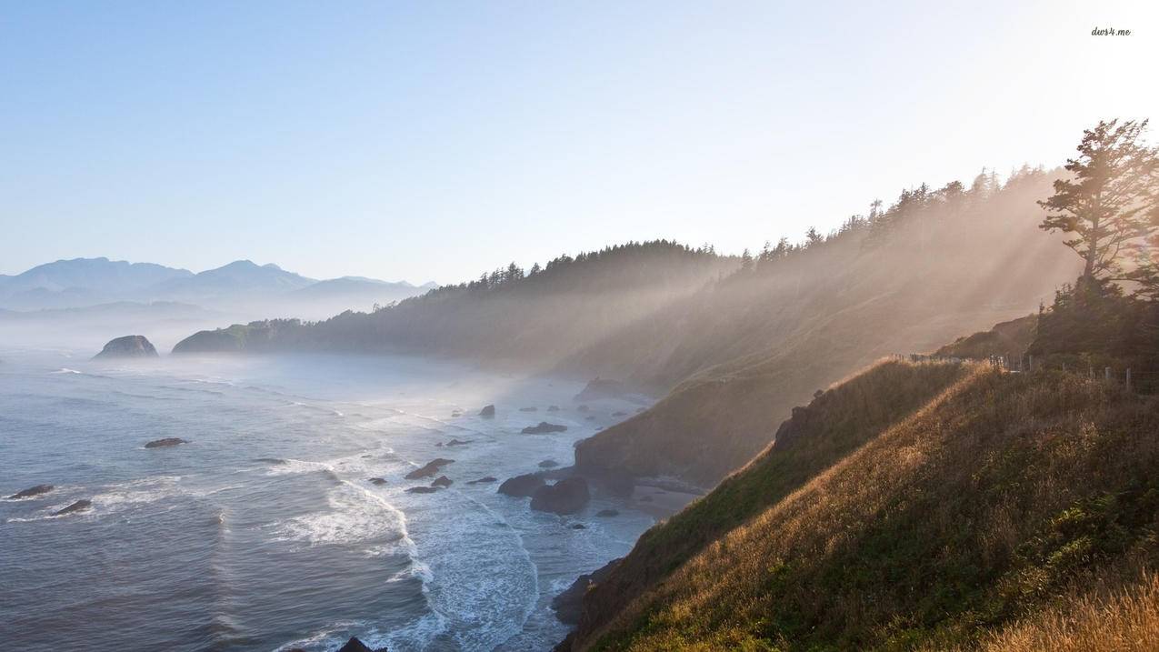 手机越南apple id密码忘了怎么办?手机号换了（忘记apple id密码手机号码也换了怎么办） - 各区苹果ID - 55dz账号网