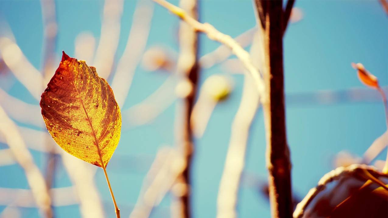 全网qq空间秒刷最低网站-快手赞自助下单平台网,qq刷赞慢刷网站,QQ免费刷空间访客量软件