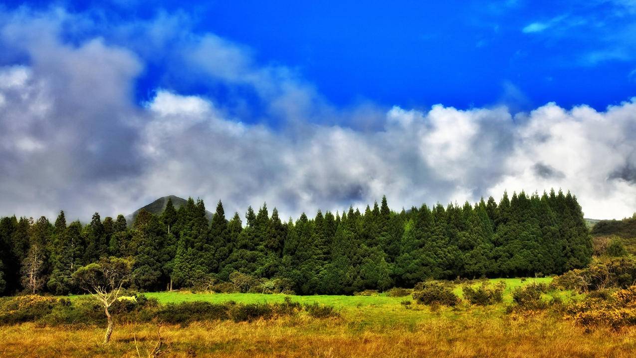苹果越南id共享不锁定已激活（苹果越南id共享不锁定已激活怎么办） - 各区苹果ID - 55dz账号网