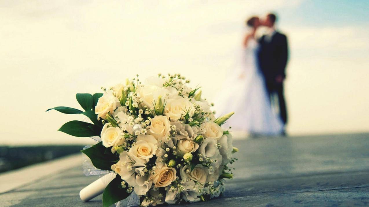 tiktok密码怎么注册_tiktok的密码怎么创 - tiktok相关 - 55dz账号网