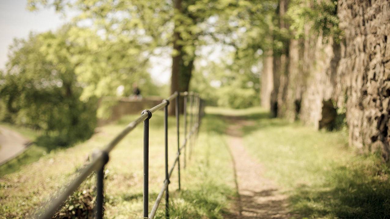 苹果手机为什么下载不了clash_苹果手机为什么下载不了大唐麻将 - clash相关 - 55dz账号网