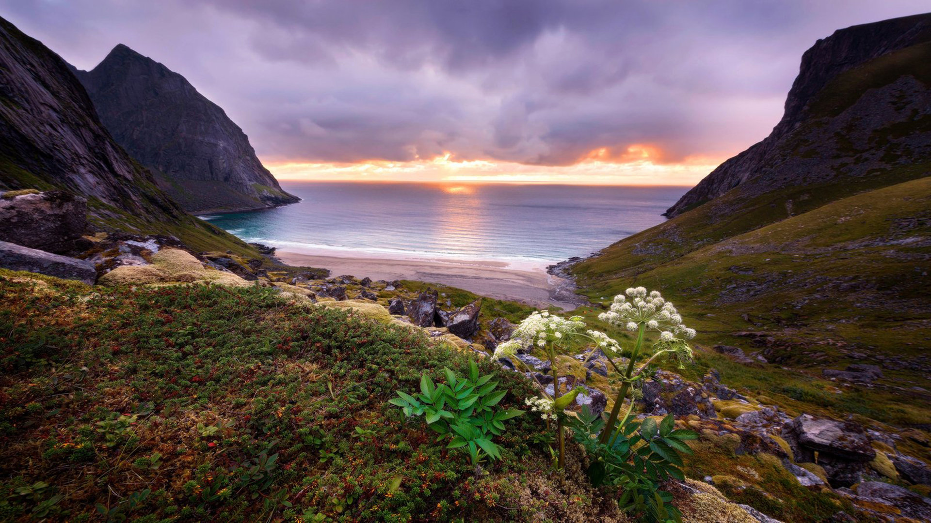 ssr-8_ssr80温度巡检仪说明书 - 注册外服方法 - 55dz账号网