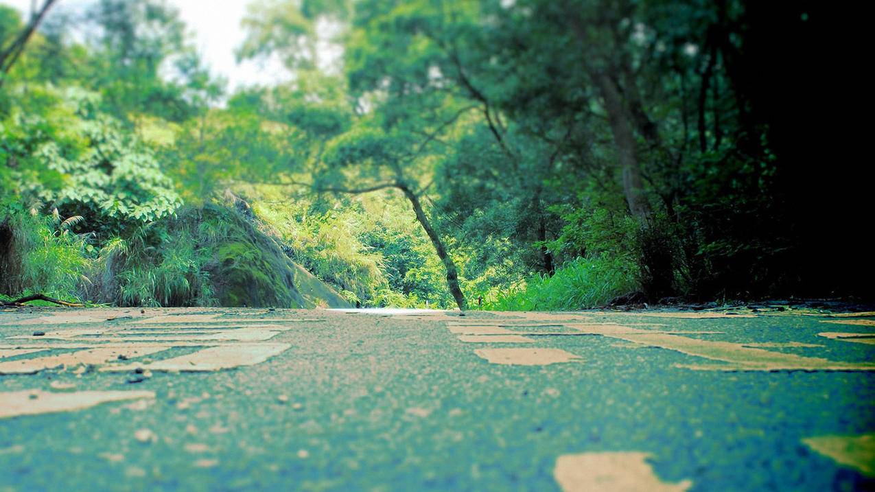 小米盒子安装youtube登录闪退_装了谷歌框架后youtube闪退 - youtube相关 - 55dz账号网