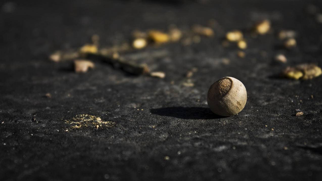 快手刷播放自助下单 - 快手官方买活粉,快手双击刷代网,0.01元领qq超级会员1年,快手代网刷网免费