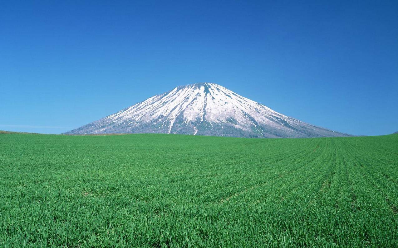 tiktok国际版如何安装_tiktok国际版安装包苹果 - tiktok相关 - 55dz账号网