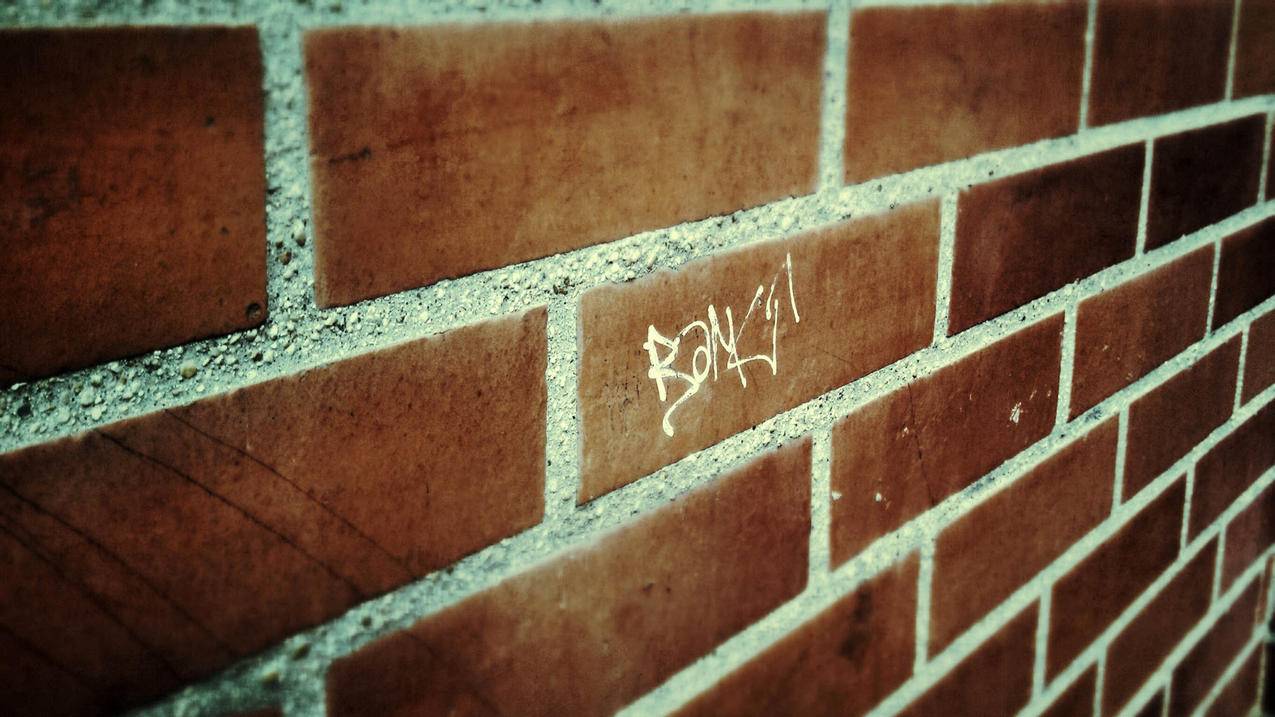 油管怎么搜用户_油管上怎么搜用户 - youtube相关 - 55dz账号网