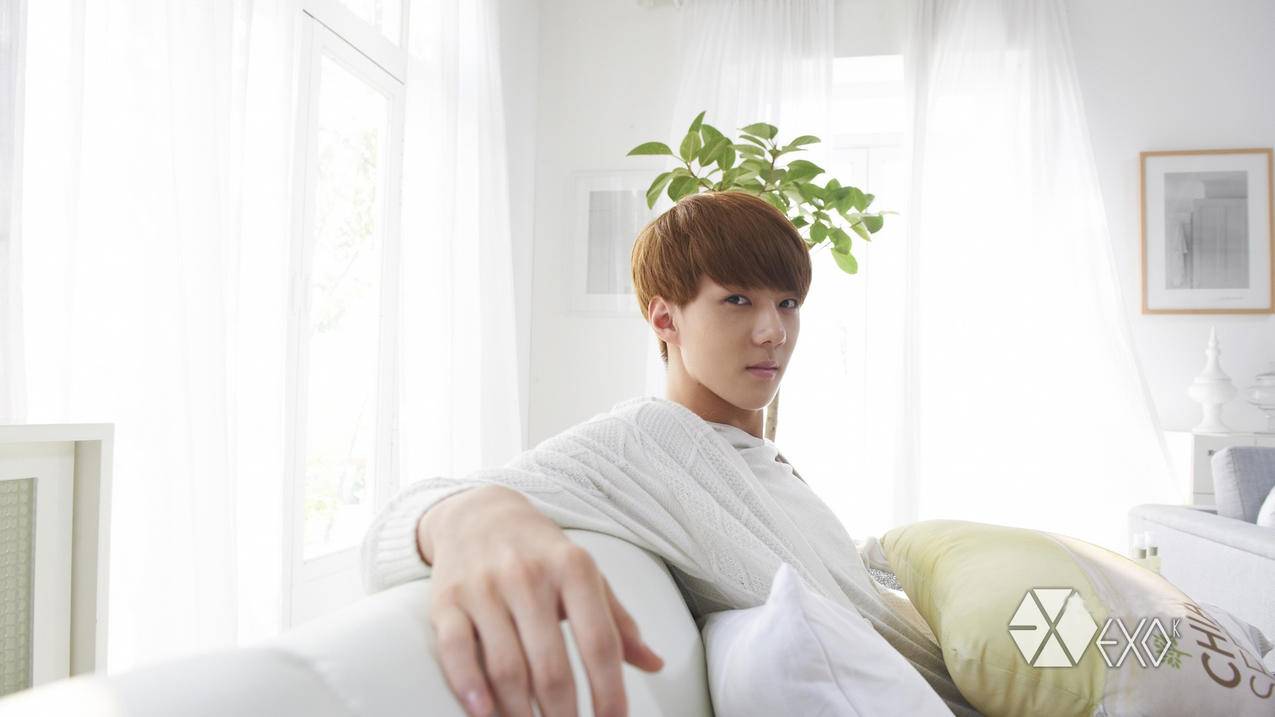 appleid重置安全问题都忘了且无法使用邮箱_苹果id安全邮箱忘记了怎么办 - Apple ID相关 - 55dz账号网