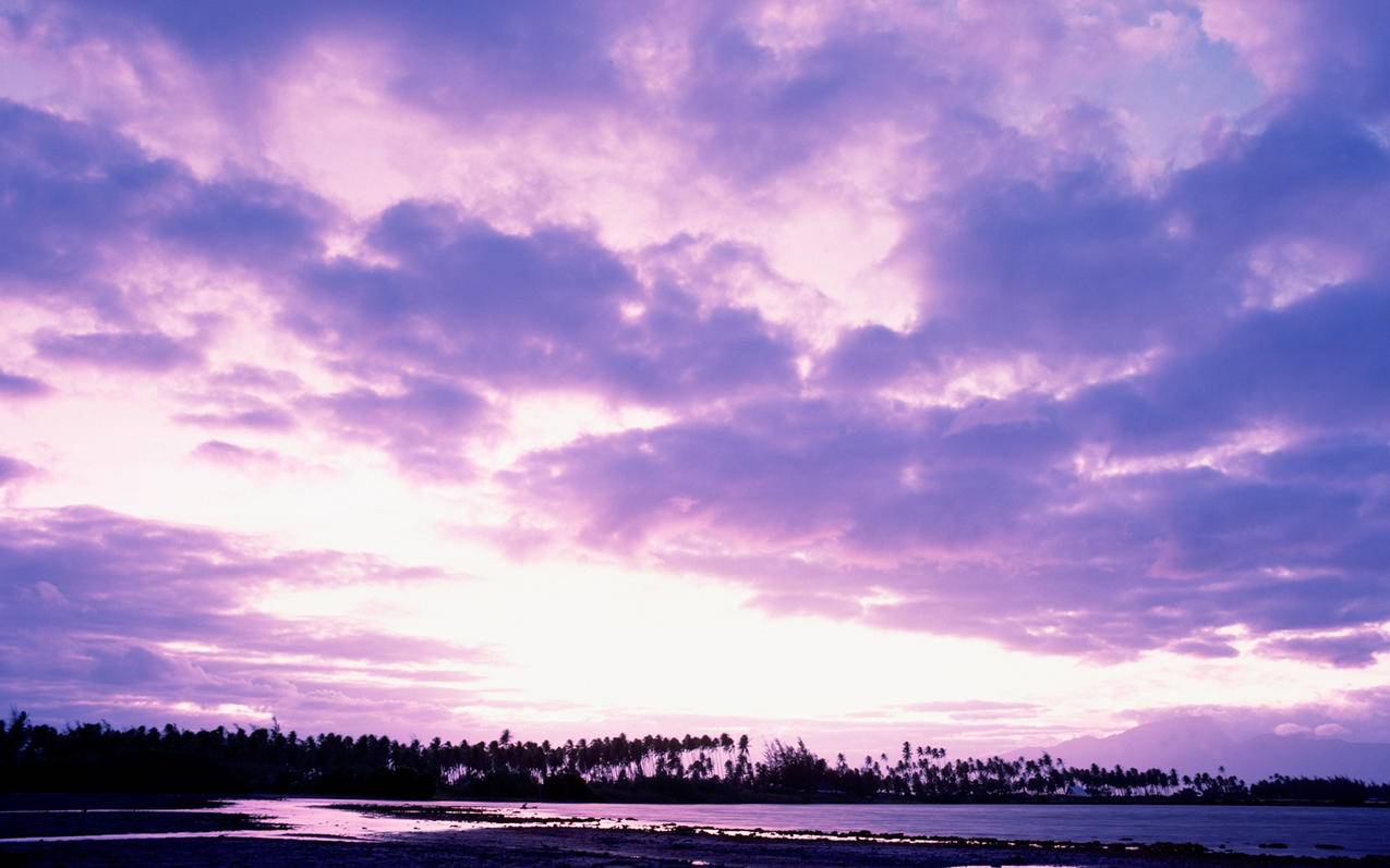 怎么取消微信0支付密码锁_如何取消微信支付锁 - 微信相关 - 55dz账号网