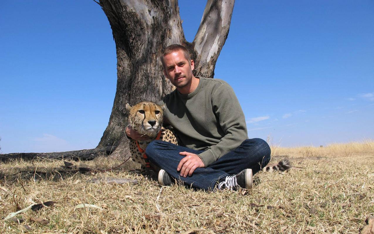 为什么我的apple id无法下载软件了? ， 苹果ID下载不了软件怎么回事  - 55dz账号网