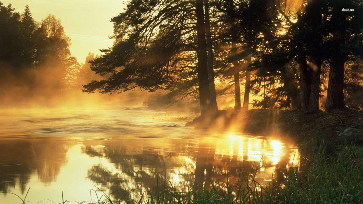 抖音最火的人有哪些  ( 抖音第一网红是谁? ) - 55dz账号网