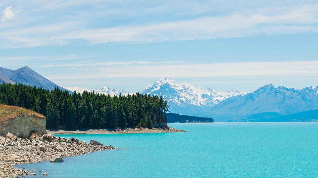 tiktok怎么用绿幕特效_tiktok 特效 - tiktok相关 - 55dz账号网