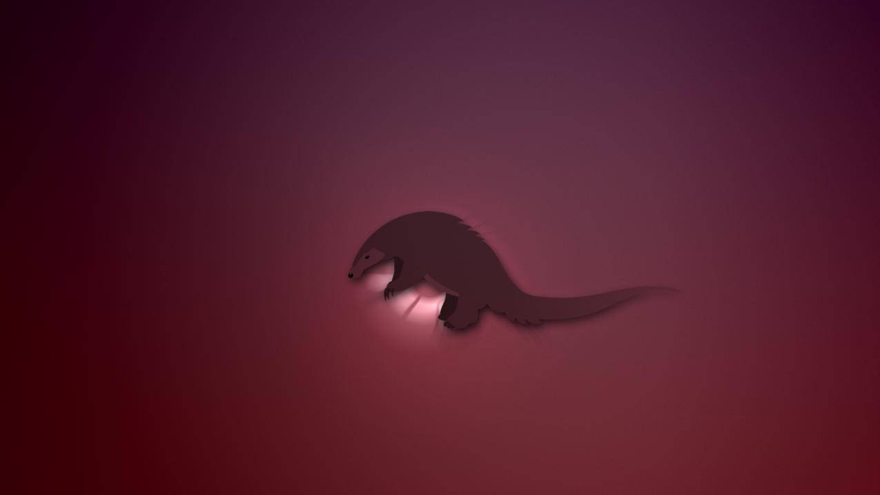 外国抖音tiktok怎么变成中文图解_抖音海外版tiktok中文设置 - tiktok相关 - 55dz账号网