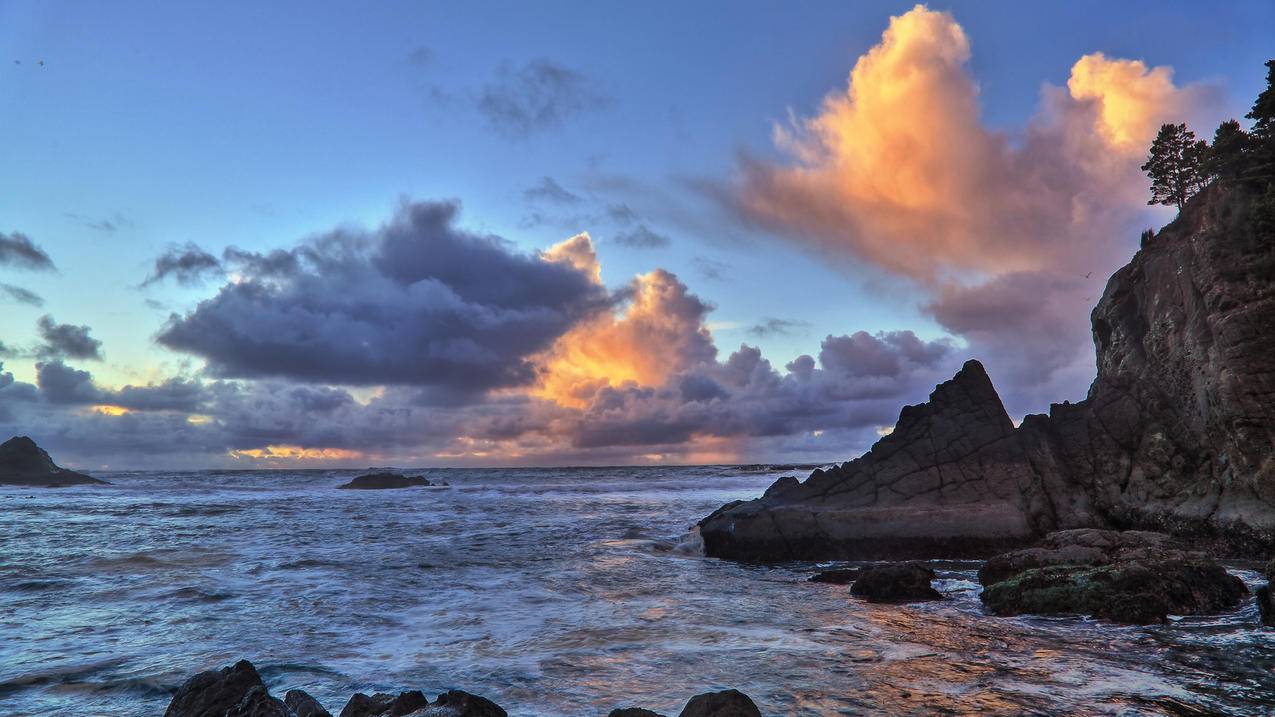 苹果登录facebook网络错误_iphone的facebook登录不上 - facebook相关 - 55dz账号网