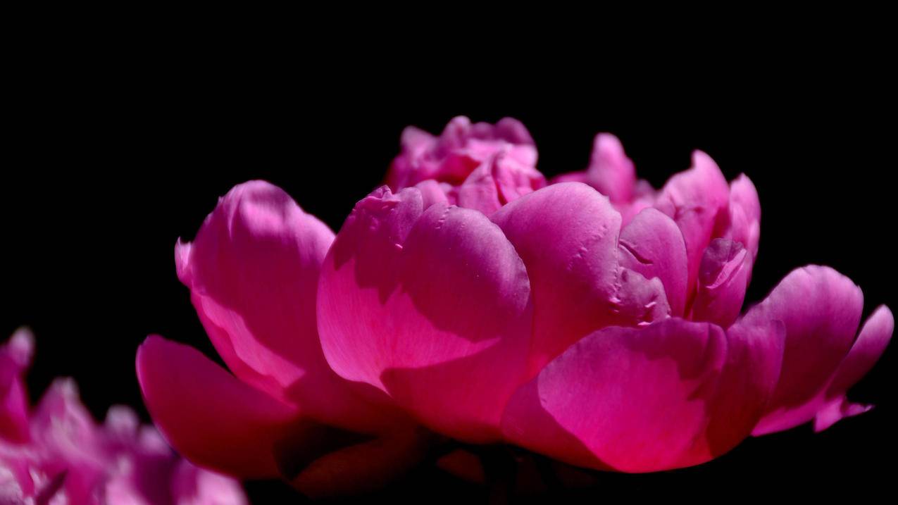 越南apple id是什么 - 各区苹果ID - 55dz账号网