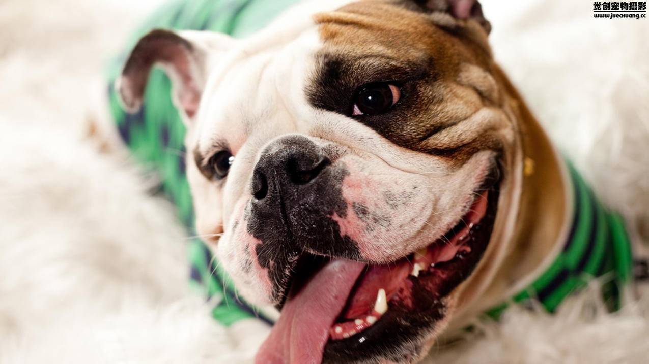 nba2kol进阶会返还材料吗_nba2kol置换会返还突破卡吗 - IOS分享 - 55dz账号网