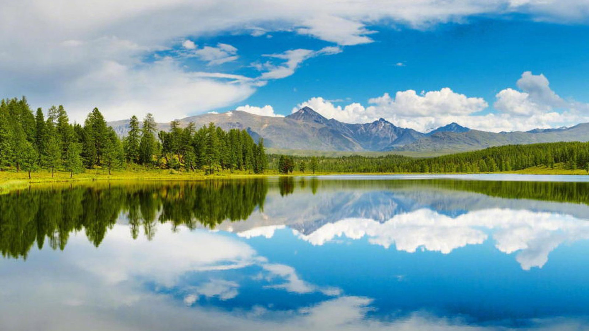 设置appleid账户详情不可用_iphoneid账户详情不可用 - Apple ID相关 - 55dz账号网