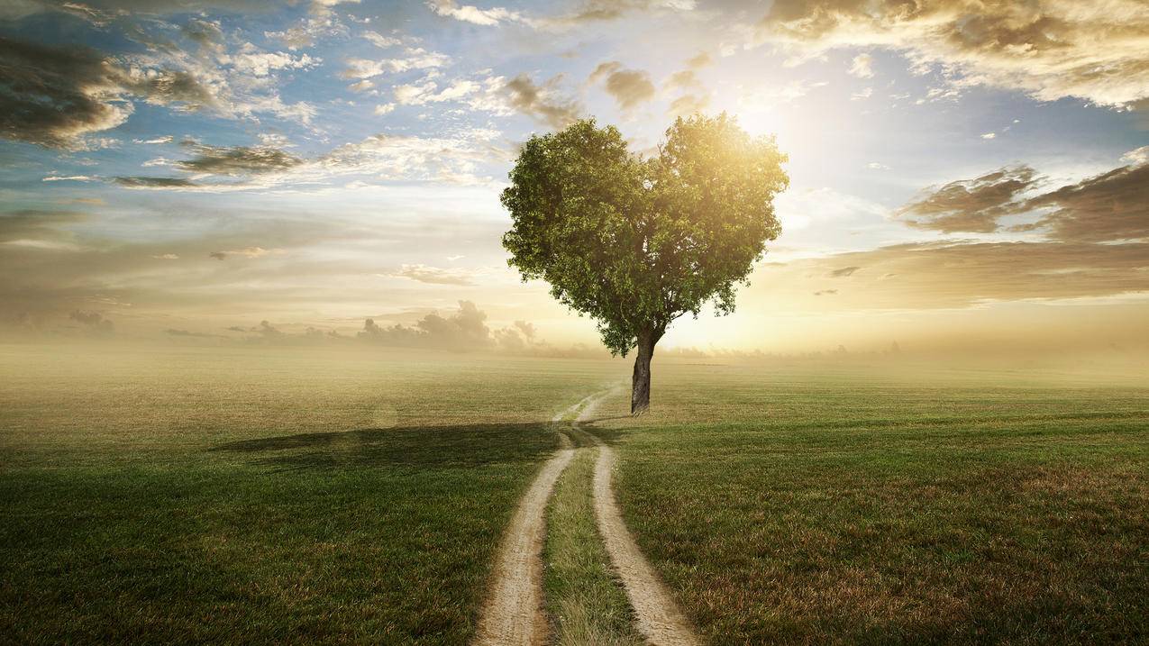 chrome手机版如何下载视频ios  ( 手机版chrome浏览器怎么下载视频? ) - 55dz账号网