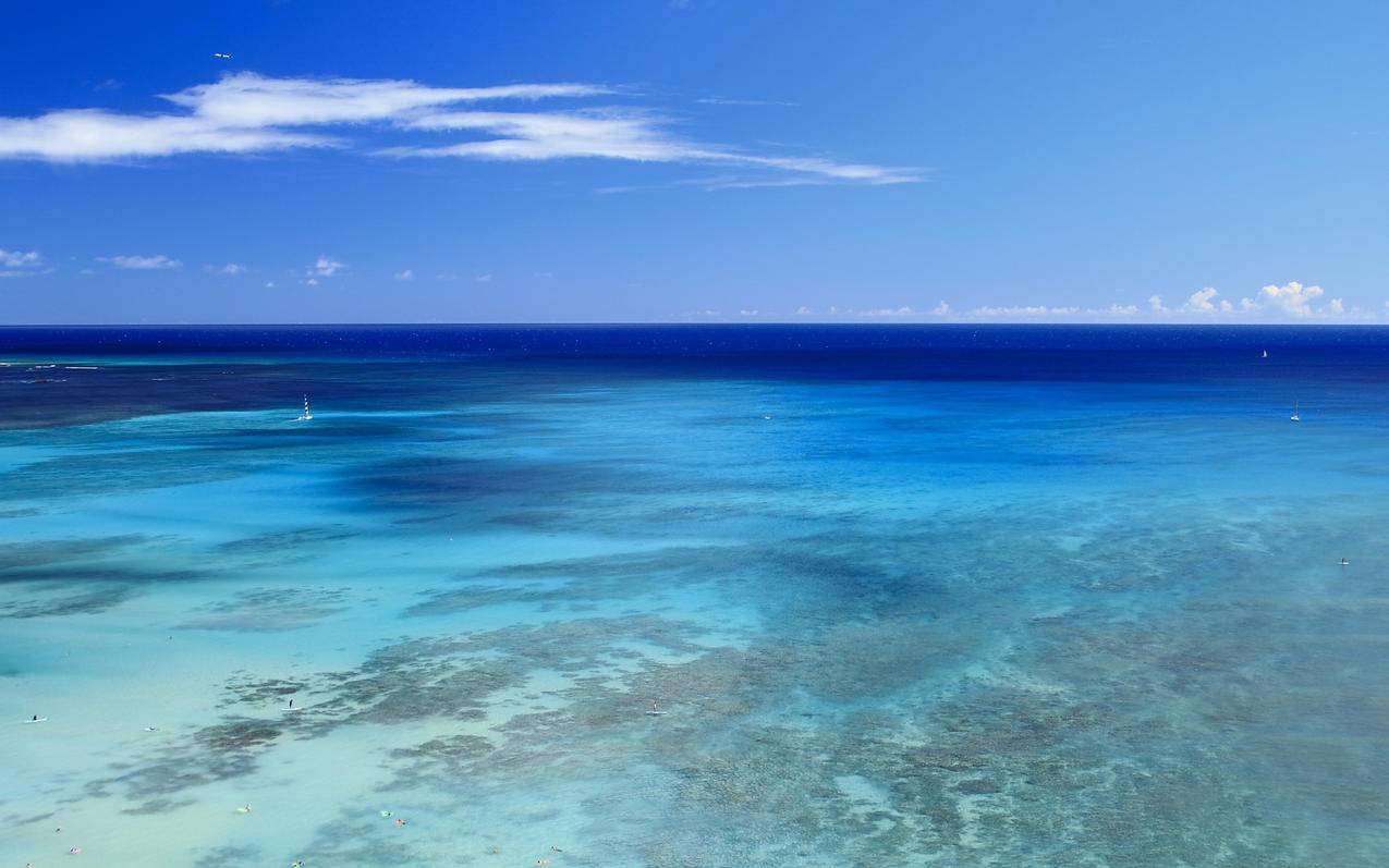 抖音什么雪纷纷bgm-dy业务网