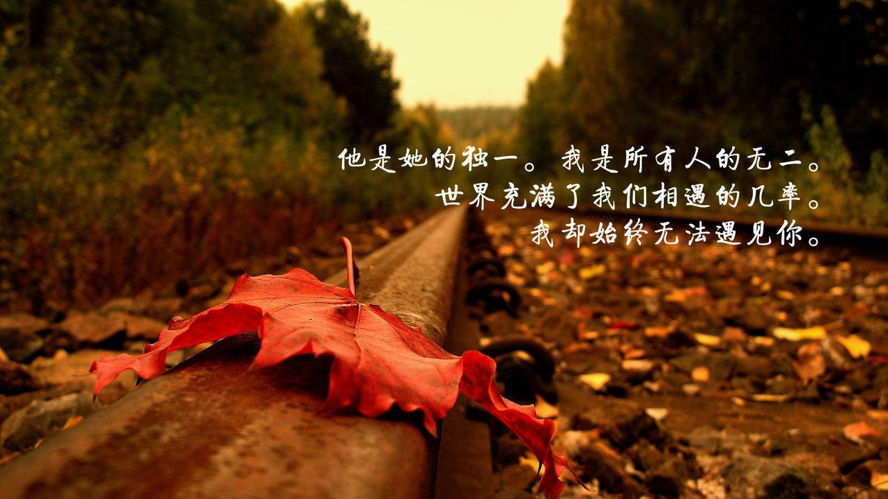 全民k歌自助下单平台_菜客社区自助下单平台 - ks业务 - 蘑菇业务网