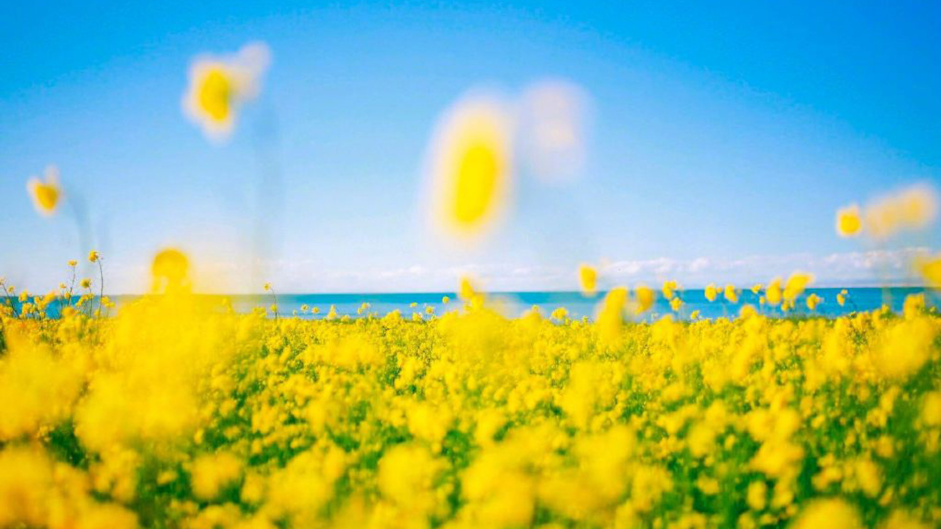 玩tiktok怎么自建梯子_能刷tiktok的梯子 - tiktok相关 - 55dz账号网