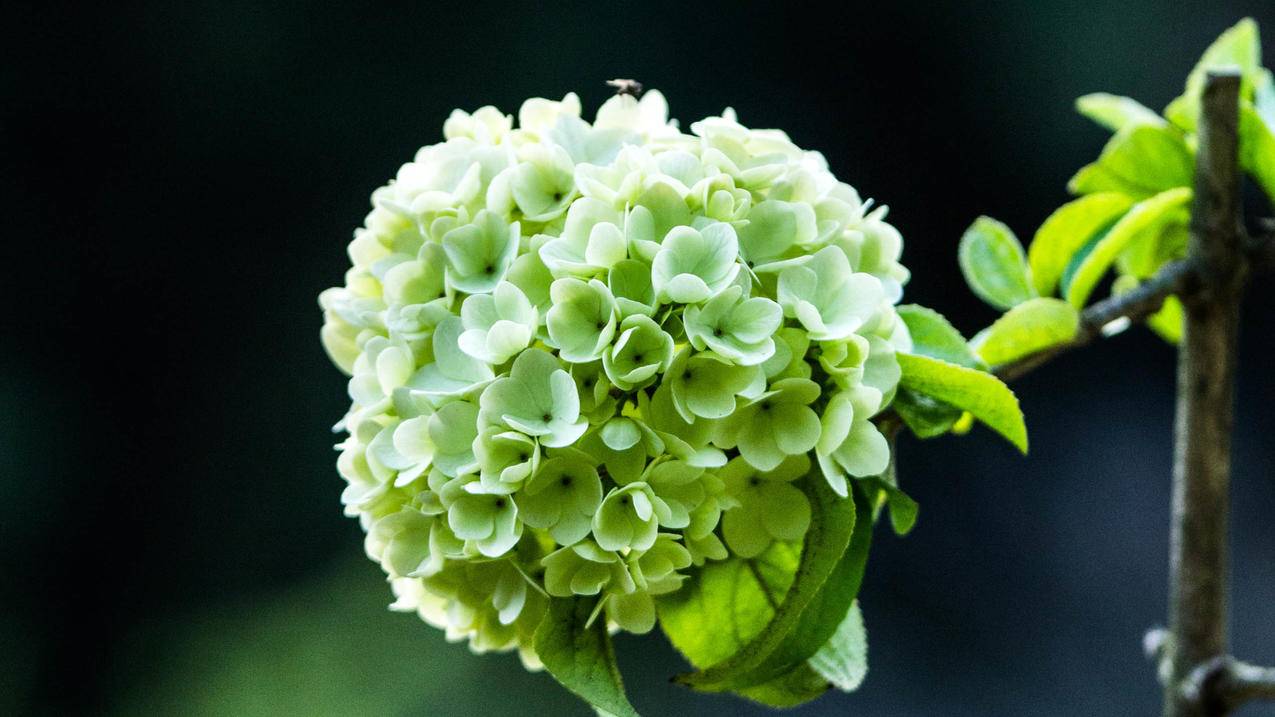 邮箱注册的支付宝可以更换邮箱吗_支付宝用手机注册的能换成邮箱吗 - gmail相关 - 55dz账号网