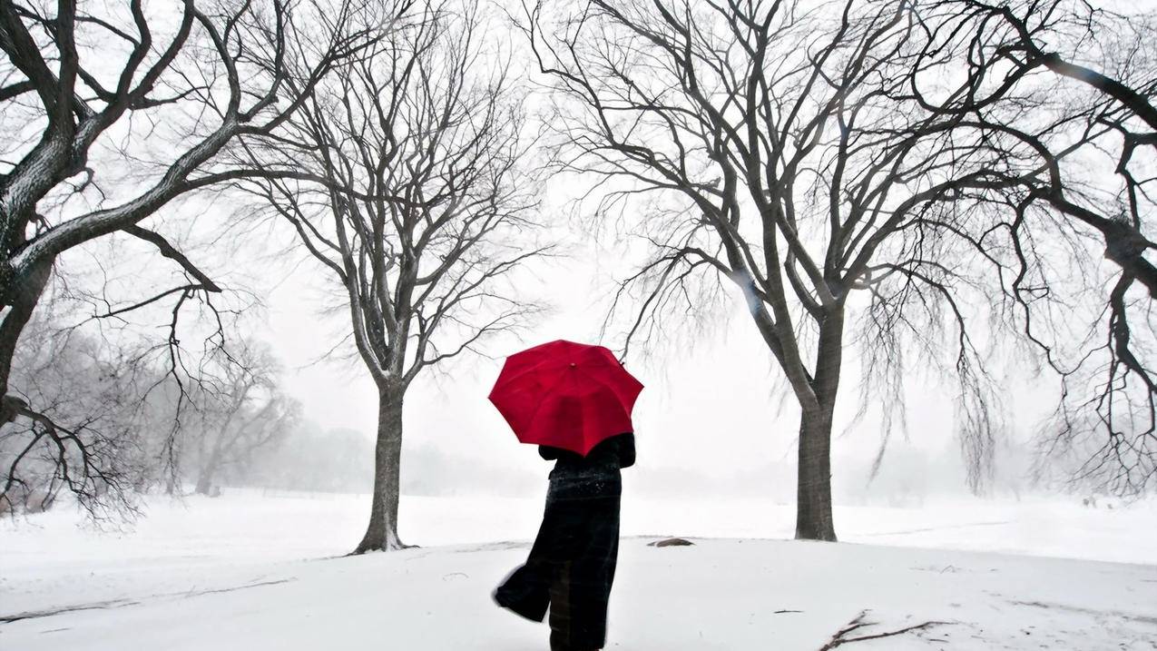 facebook巨额罚款_欧盟对Facebook罚款 - facebook相关 - 55dz账号网