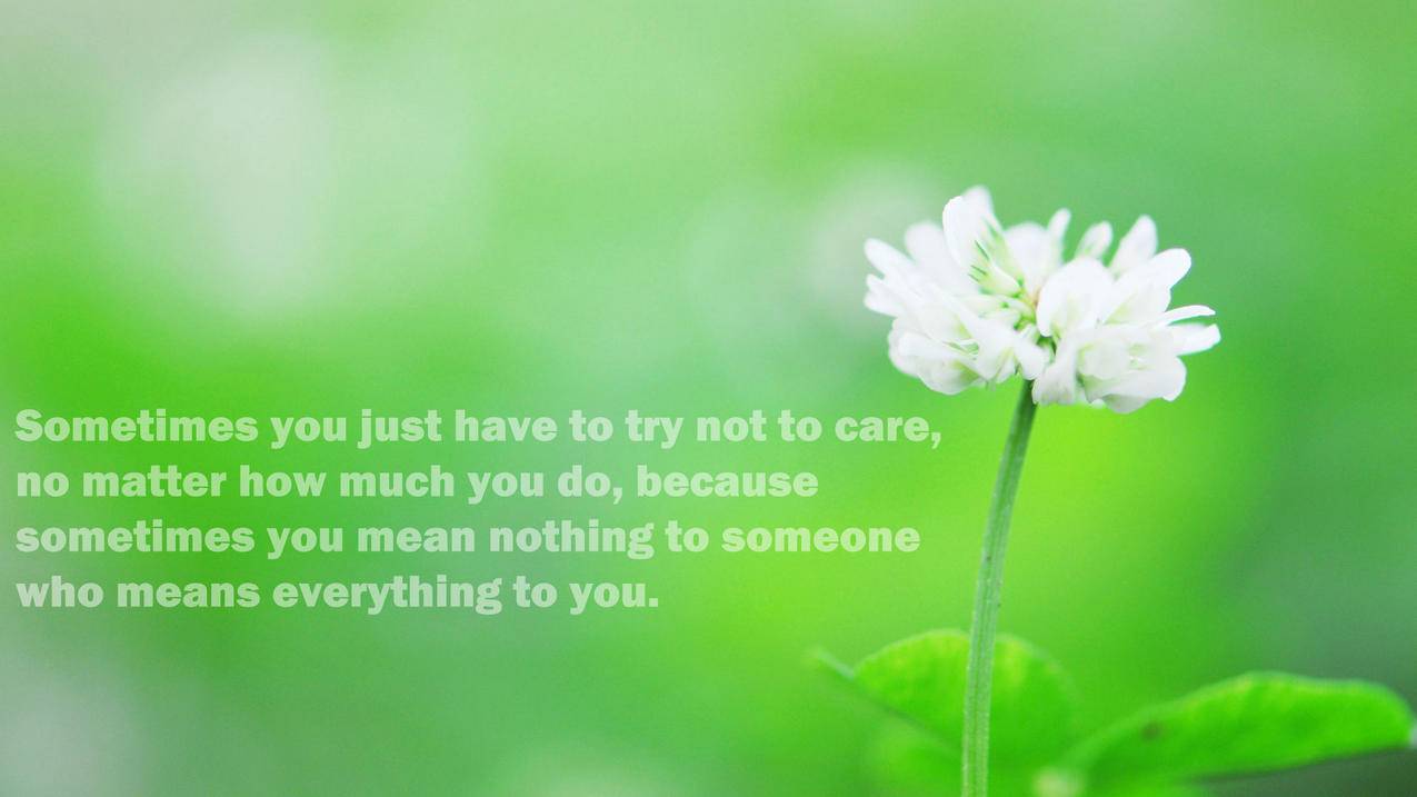 nikeairzoom系列_nikeairzoomsuper - zoom相关 - 55dz账号网