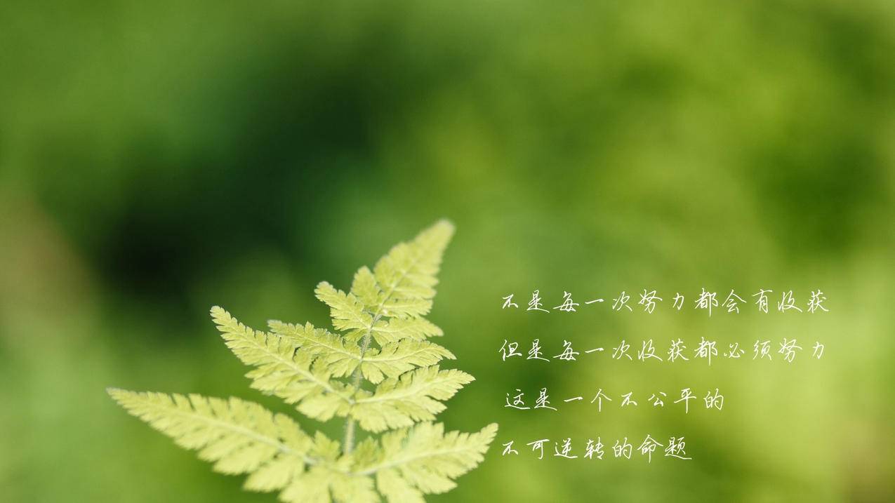 抖音上下载不了的视频怎么保存_抖音的视频下载不了,怎么保存 - gmail相关 - 55dz账号网