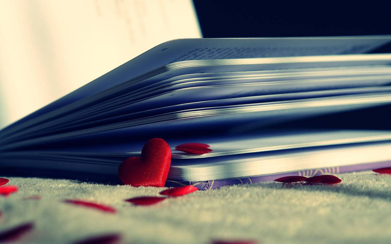 快速记单词的好方法_快速记单词的好方法是什么 - messenger相关 - 55dz账号网