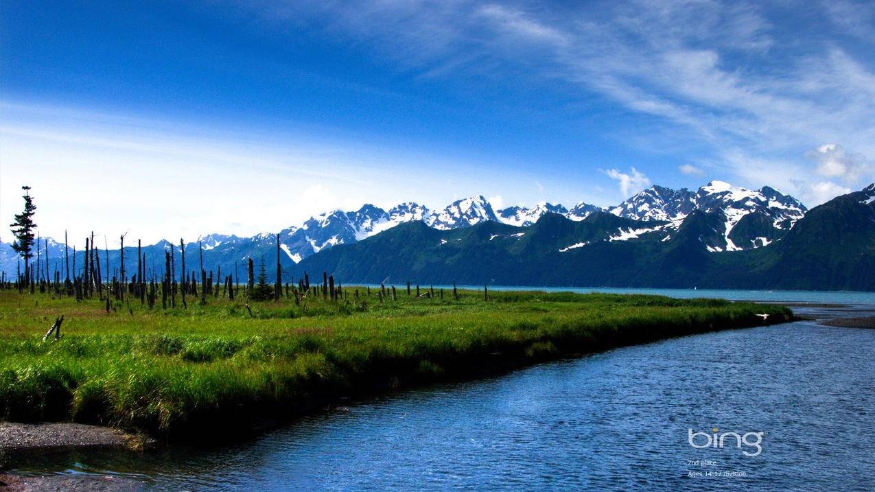 河北省医保微信公众号名字查询不到_石家庄市医保公众号 - 微信相关 - 55dz账号网