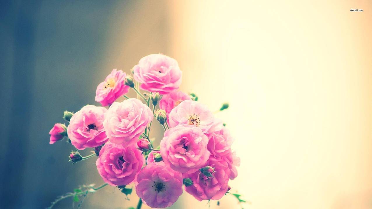 微信发朋友圈怎么添加位置_微信发朋友圈怎么添加位置信息 - 微信相关 - 55dz账号网