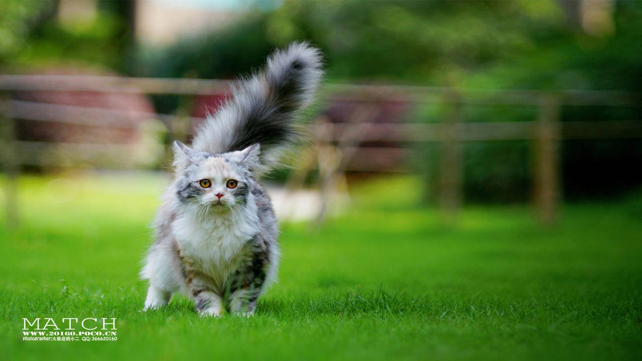 qq删了好友怎么看之前聊天记录_删了好友之后怎么看聊天记录 - messenger相关 - 55dz账号网
