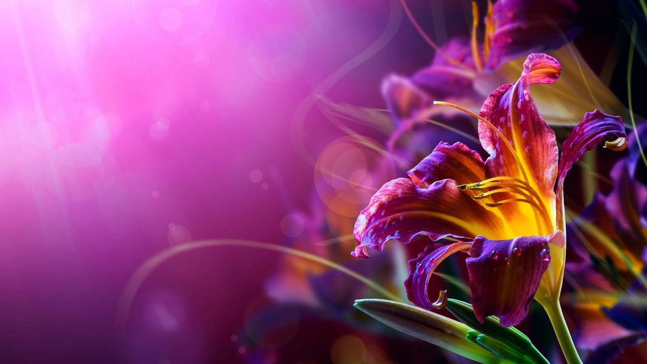 为什么此时无法创建越南apple id2022年 - 各区苹果ID - 55dz账号网