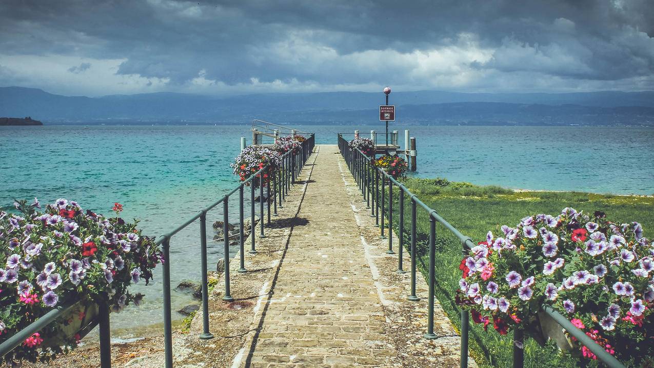 王者人气低价代刷网 - 免费领空间说说赞,爱上代刷网,1毛1万名片赞,qq名片赞代刷平台