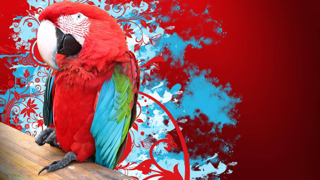 tiktok安装教程_tiktok安装教程2021 - 苹果APP下载 - 55dz账号网