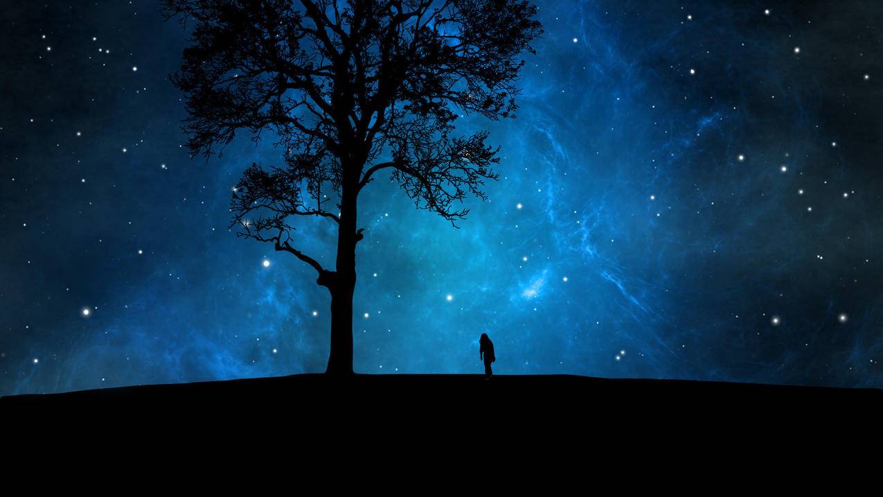 如何查看看过的小红书 - 网络资讯 - ks业务下单