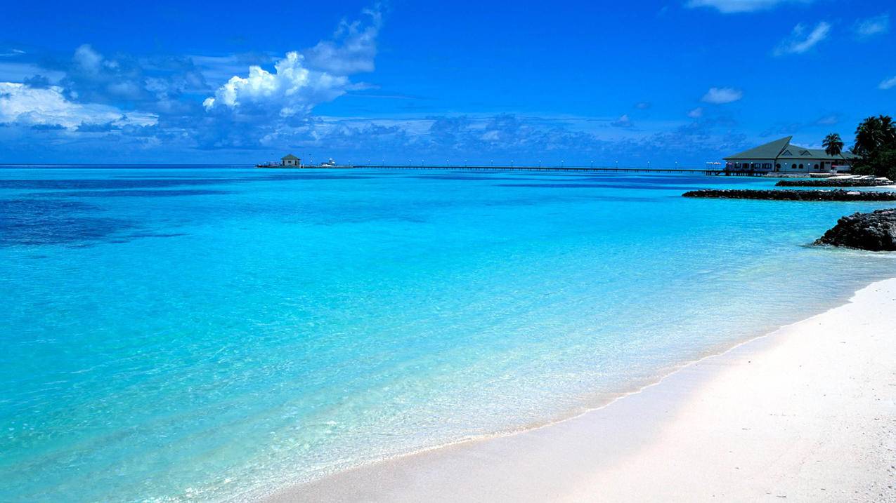 facebook下载了怎么注册不了_facebook现在注册不了 - facebook相关 - 55dz账号网