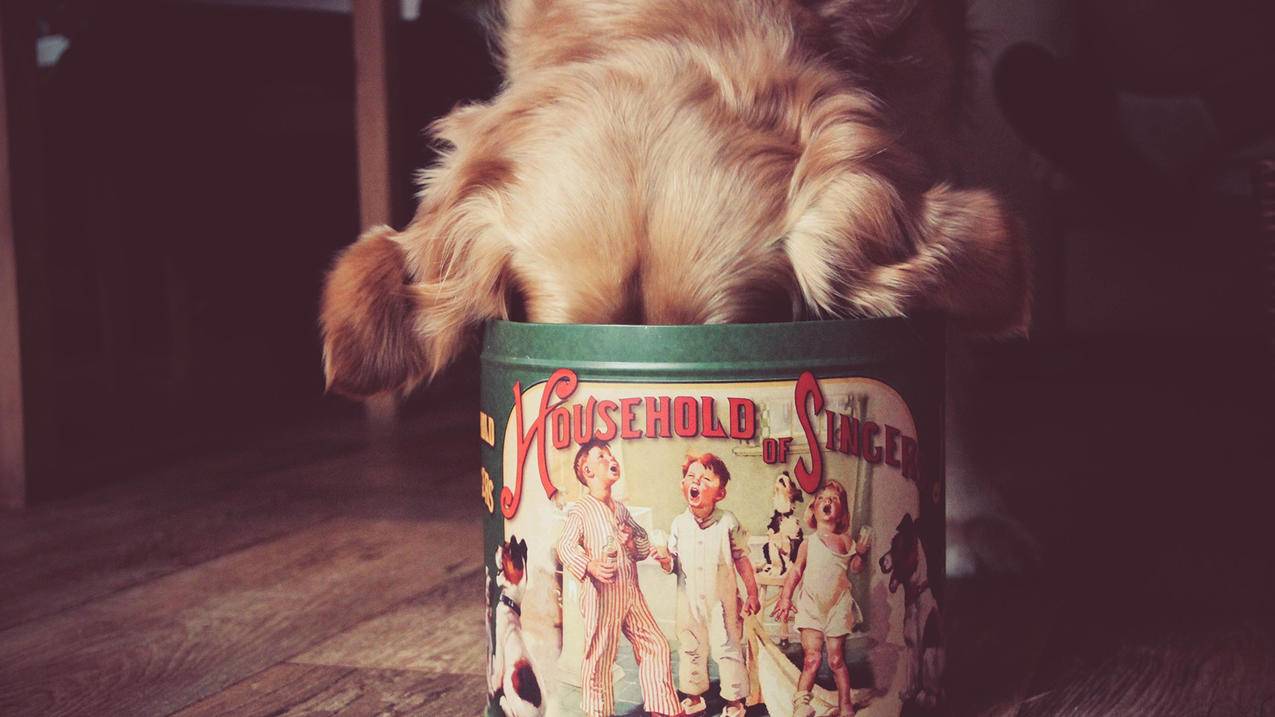 为什么总显示更新越南appleid设置 ,点击就出现验证失败 - 各区苹果ID - 55dz账号网