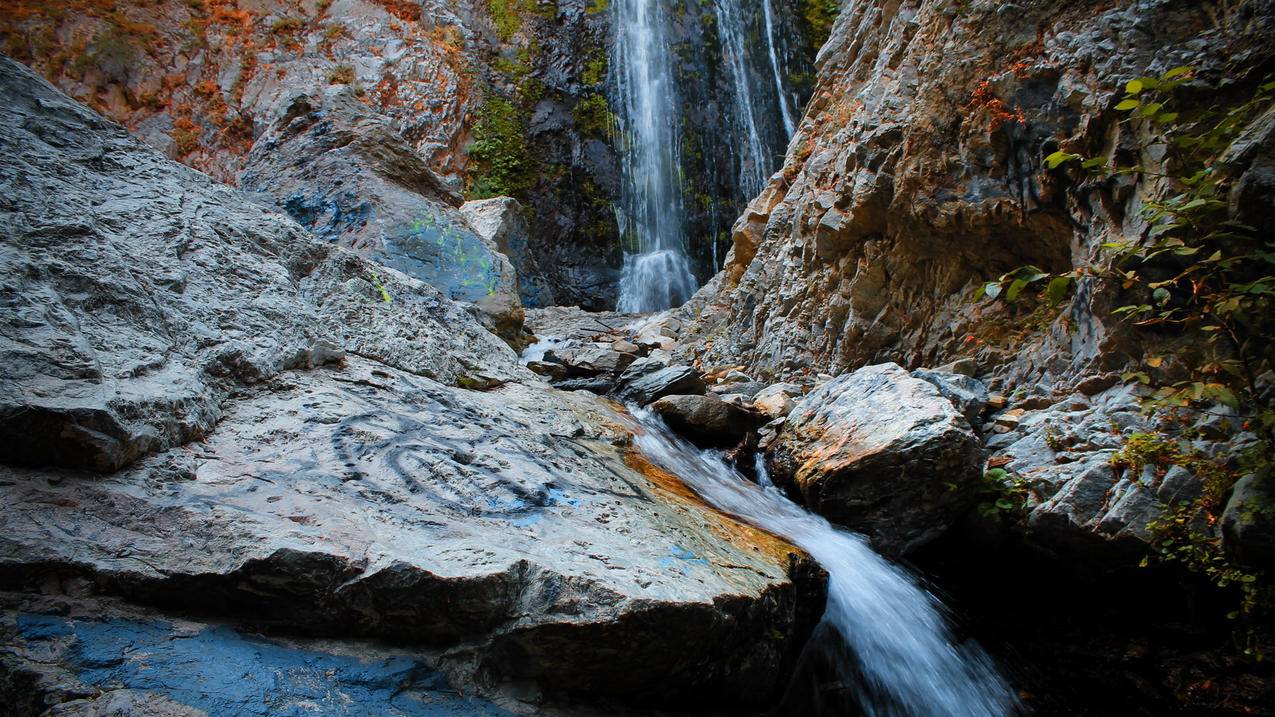 为什么tiktok不能关注了_tiktok关注不了人 - tiktok相关 - 55dz账号网