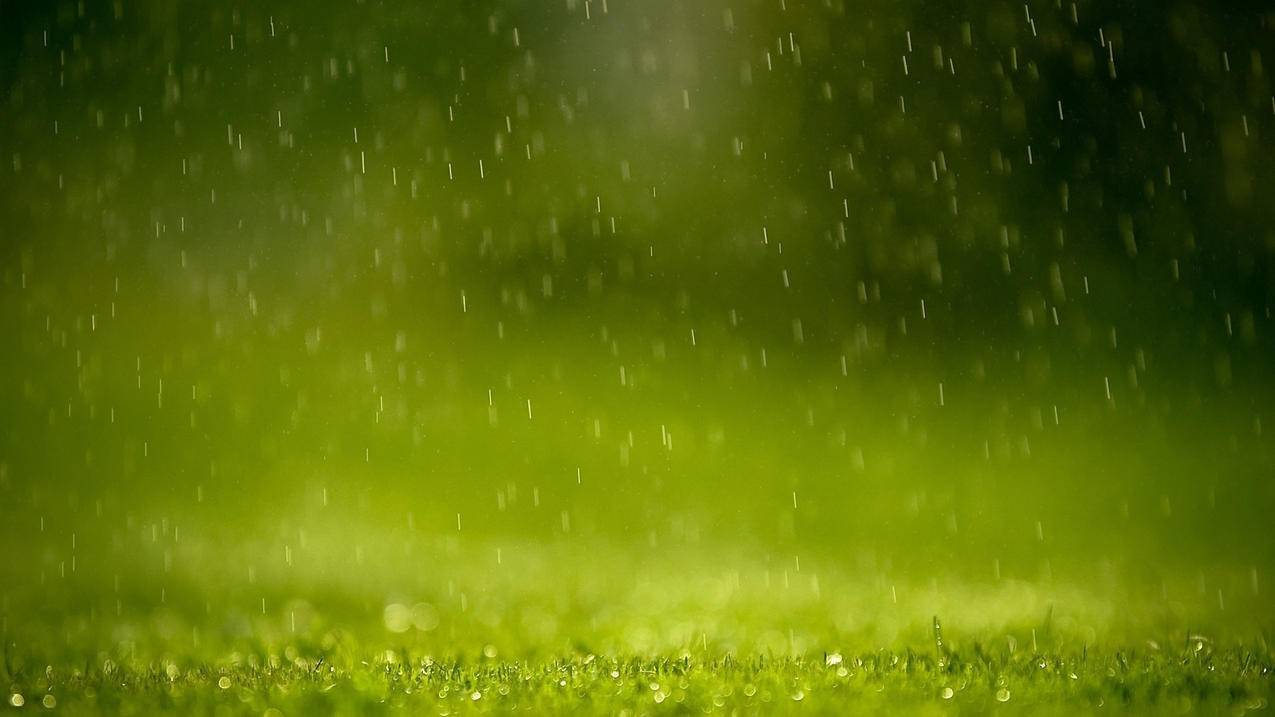 手机zoom声音怎么调小_手机zoom声音怎么调小一点 - zoom相关 - 55dz账号网