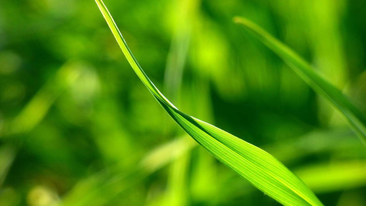 解锁appleid每次显示发生未知错误？ - Apple ID相关 - 55dz账号网