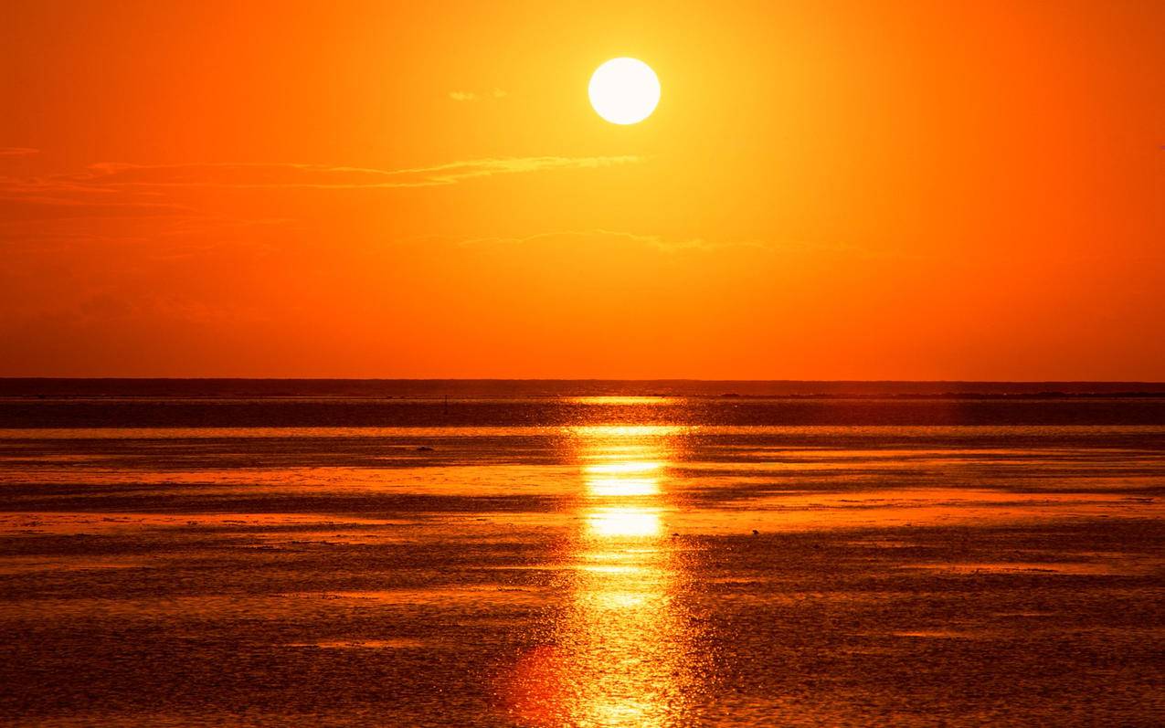 为什么谷歌浏览器闪退_为什么谷歌浏览器闪退打不开 - gmail相关 - 55dz账号网