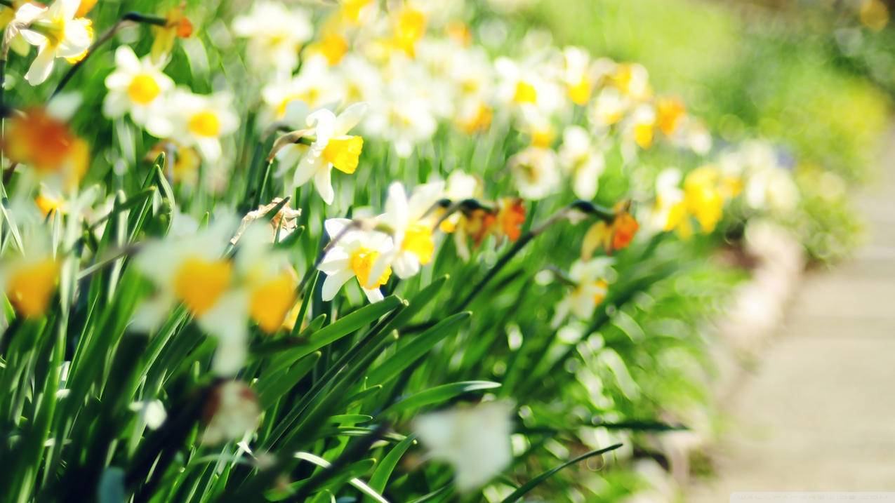 手机如何授权千川账号？ - 自助下单平台 - ks业务网