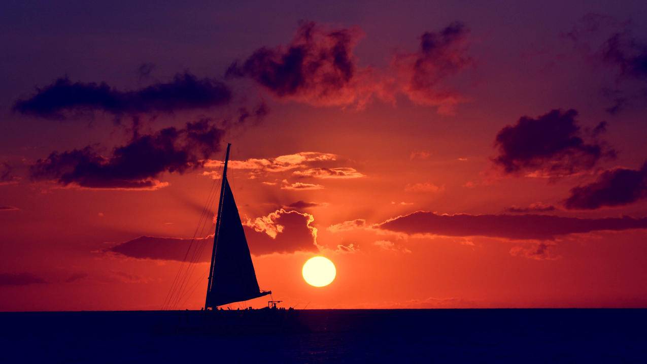 zoom软件的使用简介_zoom软件功能 - zoom相关 - 55dz账号网