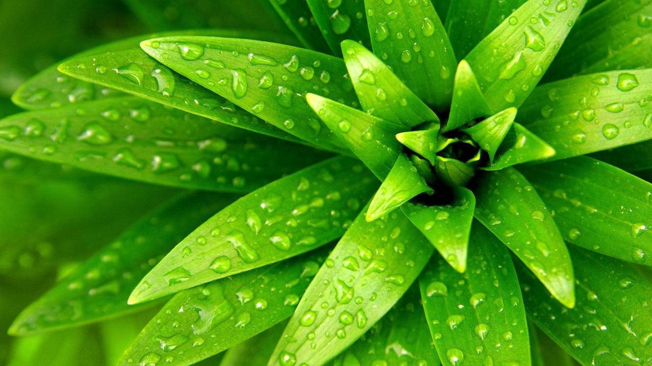 微信怎么查看最近删除_微信怎么查看最近删除的小程序 - messenger相关 - 55dz账号网