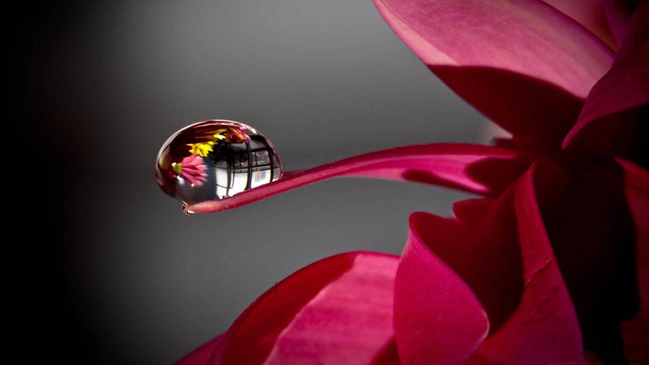 高中数学几何定理包括哪些重要内容？ - 自助下单ks - ks24小时自助