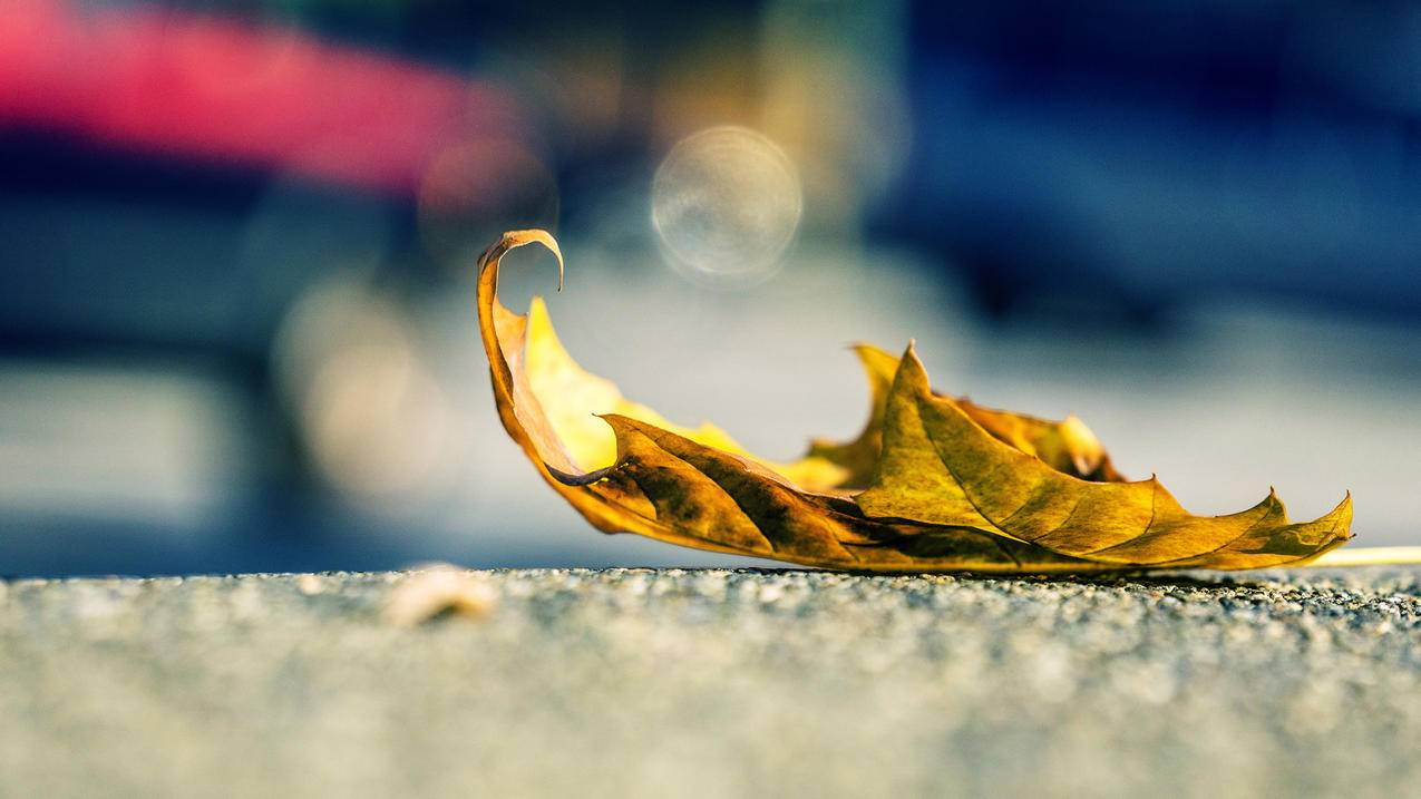 电风扇遥控器按键错乱失灵如何修复？ - ks自助平台 - ks业务下单