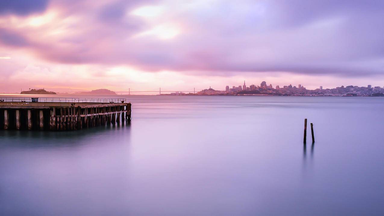 油管的cc字幕下载_油管cc字幕怎么下载 - youtube相关 - 55dz账号网