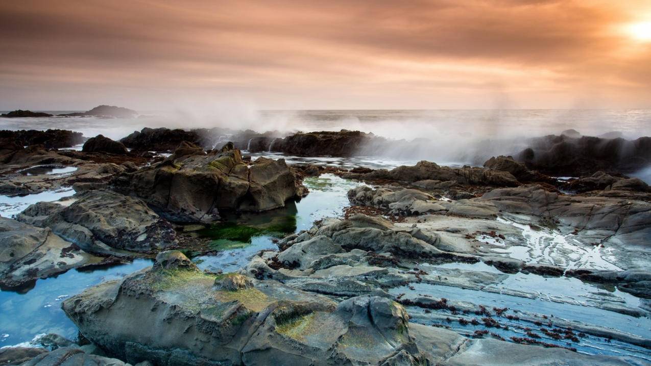 系统偏好设置没有越南appleid - 各区苹果ID - 55dz账号网