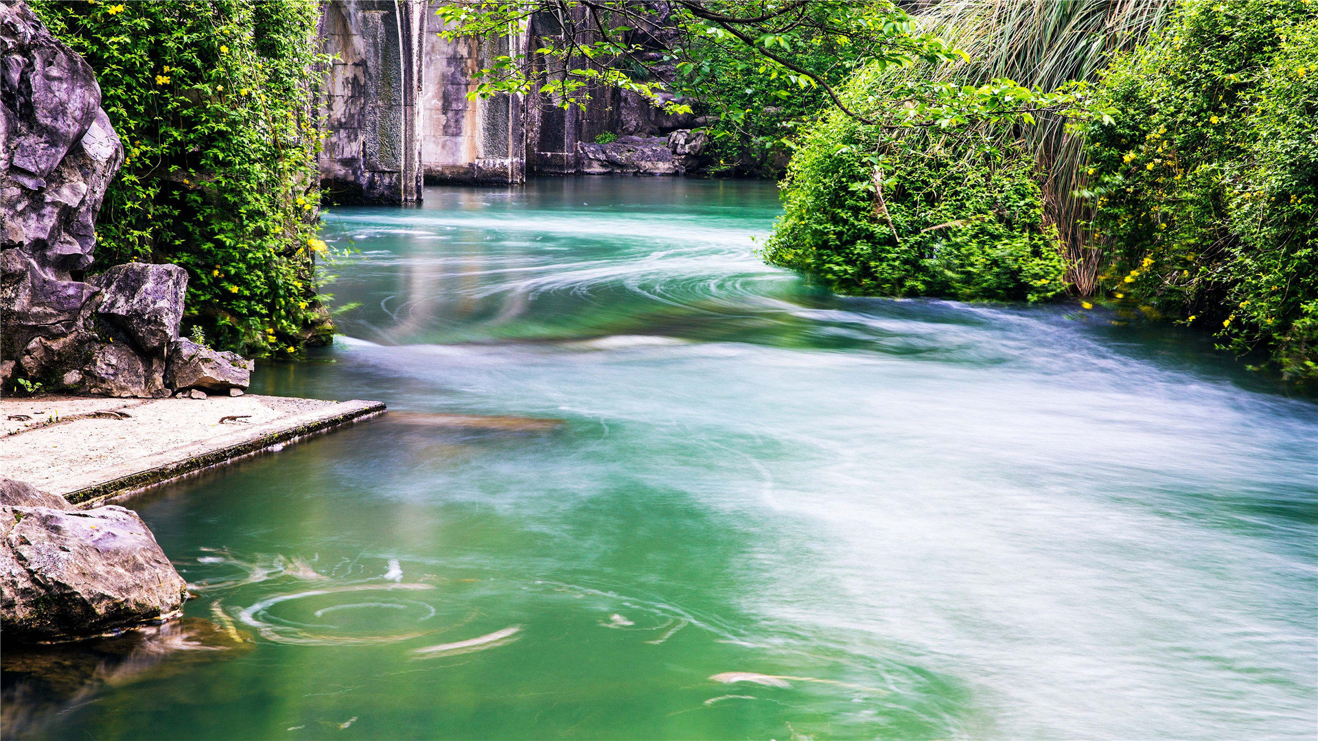 小火箭协议_小火箭协议和混淆 - 注册外服方法 - 55dz账号网